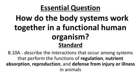 Essential Question How do the body systems work together in a functional human organism? Standard B.10A - describe the interactions that occur among systems.