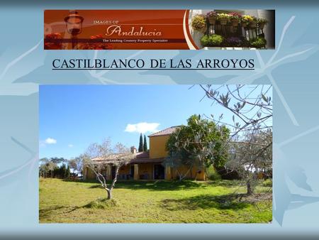 CASTILBLANCO DE LAS ARROYOS. Castilblanco de las Arroyos A beautiful finca surrounded by olive groves and cork oak forest. The cortijo was built in 2000.
