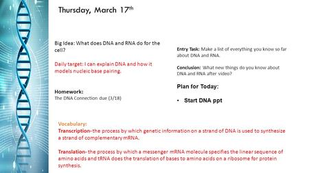 Thursday, March 17 th Big Idea: What does DNA and RNA do for the cell? Daily target: I can explain DNA and how it models nucleic base pairing. Homework:
