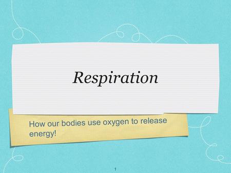 How our bodies use oxygen to release energy! Respiration 1.