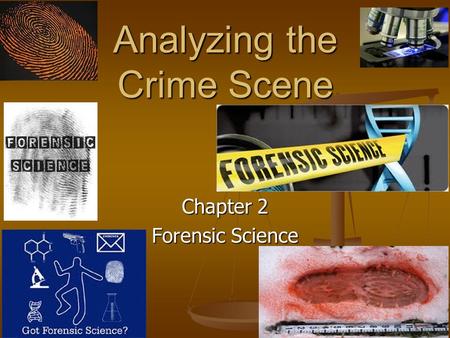 Analyzing the Crime Scene