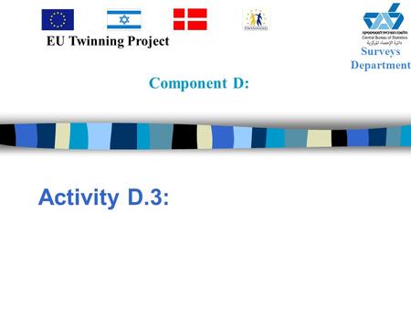 Component D: Activity D.3: Surveys Department EU Twinning Project.