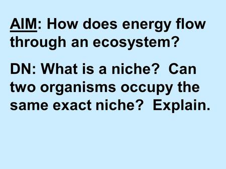 AIM: How does energy flow through an ecosystem? DN: What is a niche? Can two organisms occupy the same exact niche? Explain.