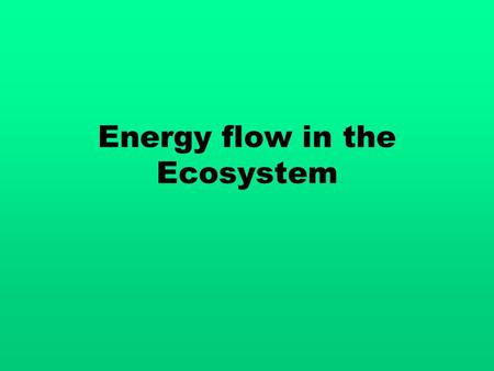 Energy flow in the Ecosystem. Energy 1 st law of thermodynamics – energy can not be created or destroyed, only transformed from one form to another.