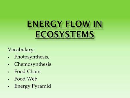 Vocabulary: Photosynthesis, Chemosynthesis Food Chain Food Web Energy Pyramid.