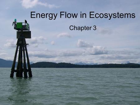 Energy Flow in Ecosystems Chapter 3. Life Depends on the Sun Plants, algae, and some bacteria –Photosynthesis –Convert solar energy from sun into food.