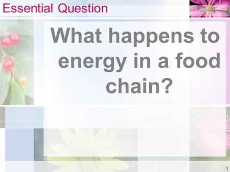 Essential Question What happens to energy in a food chain? 1.