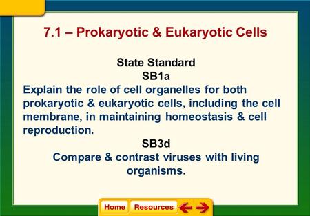7.1 – Prokaryotic & Eukaryotic Cells State Standard SB1a Explain the role of cell organelles for both prokaryotic & eukaryotic cells, including the cell.