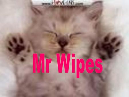 Once upon a time there was a cat called Mr Wipes.Mr Wipes lived in a gutter until he…. Met a lady Found a kingdom He lived in there forever.