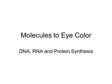 Molecules to Eye Color DNA, RNA and Protein Synthesis.
