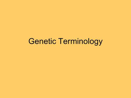 Genetic Terminology. What makes these two individuals so similar?