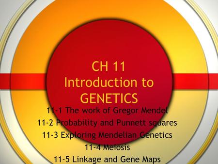CH 11 Introduction to GENETICS 11-1 The work of Gregor Mendel 11-2 Probability and Punnett squares 11-3 Exploring Mendelian Genetics 11-4 Meiosis 11-5.