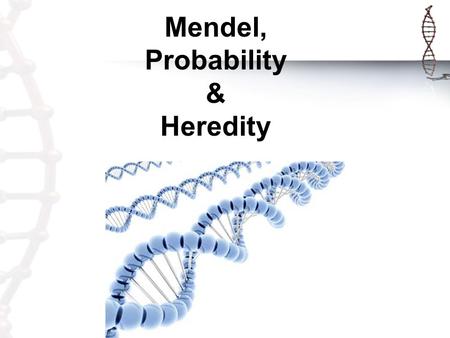 Mendel, Probability & Heredity. GREGOR MENDEL “The Father of Genetics” Genetics: The study of heredity. Heredity: The passing of genes/characteristics.