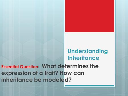 Understanding Inheritance Essential Question: What determines the expression of a trait? How can inheritance be modeled?