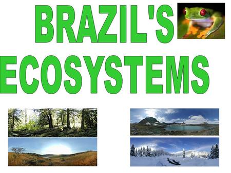 To know what a ecosystem is. To be able to describe in detail the tropical rainforest ecosystem.