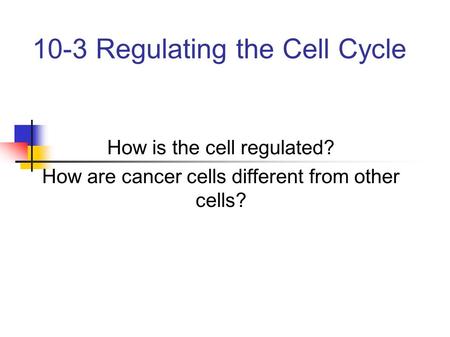 10-3 Regulating the Cell Cycle How is the cell regulated? How are cancer cells different from other cells?