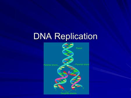 DNA Replication. DNA Deoxyribonucleic Acid Polymer of nucleotides Each nucleotides has 3 parts: 1.2.3.