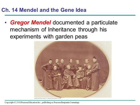 Gregor Mendel documented a particulate mechanism of Inheritance through his experiments with garden peas Copyright © 2008 Pearson Education Inc., publishing.