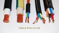 Cable & Wires in UAE. Cable and Wire manufacturing is one of the priority business in the UAE.