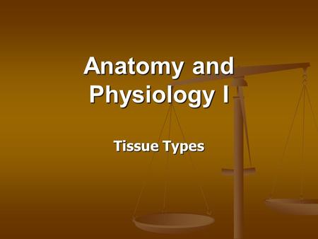 Anatomy and Physiology I Tissue Types. Key Terms Histology: Histology: the study of tissues. the study of tissues. Tissues: Tissues: groups of cells which.