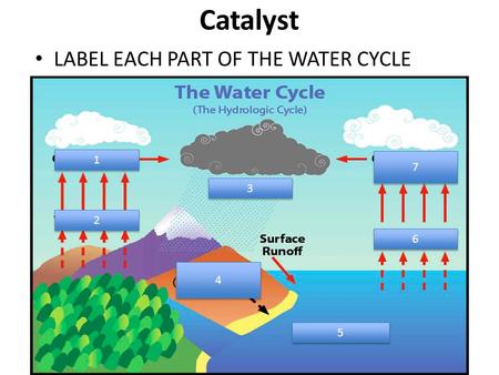 Catalyst LABEL EACH PART OF THE WATER CYCLE 1 1 7 7 2 2 3 3 4 4 6 6 5 5.