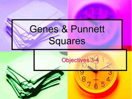 Genes & Punnett Squares Objectives 3-4. Genes Genes are the characteristics/traits coded in the DNA Genes are the characteristics/traits coded in the.