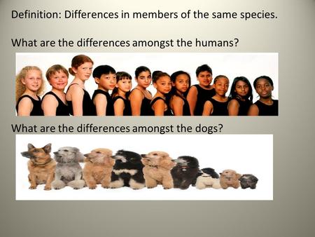 Definition: Differences in members of the same species. What are the differences amongst the humans? What are the differences amongst the dogs?