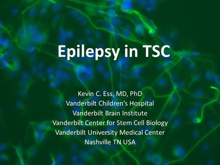 Epilepsy in TSC Kevin C. Ess, MD, PhD Vanderbilt Children’s Hospital Vanderbilt Brain Institute Vanderbilt Center for Stem Cell Biology Vanderbilt University.