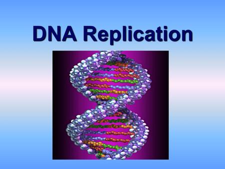 DNA Replication. To make new cells through mitosis, DNA must be copiedTo make new cells through mitosis, DNA must be copied The DNA molecule produces.