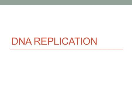 DNA REPLICATION. Replication Facts DNA has to be copied before a cell divides DNA has to be copied before a cell divides DNA is copied during the S or.