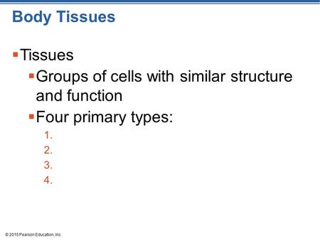 © 2015 Pearson Education, Inc. Body Tissues  Tissues  Groups of cells with similar structure and function  Four primary types: 1. 2. 3. 4.