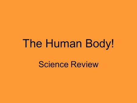 The Human Body! Science Review. Our skeleton is made up of how many bones?