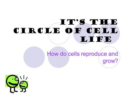 It’s The circle of cell life