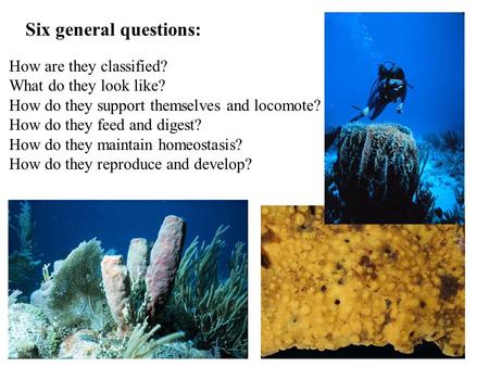 Six general questions: