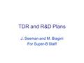 TDR and R&D Plans J. Seeman and M. Biagini For Super-B Staff.