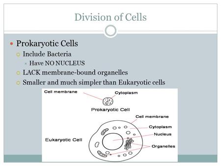 Division of Cells Prokaryotic Cells  Include Bacteria  Have NO NUCLEUS  LACK membrane-bound organelles  Smaller and much simpler than Eukaryotic cells.