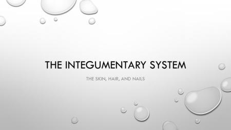 THE INTEGUMENTARY SYSTEM THE SKIN, HAIR, AND NAILS.