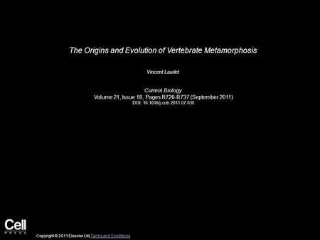 The Origins and Evolution of Vertebrate Metamorphosis Vincent Laudet Current Biology Volume 21, Issue 18, Pages R726-R737 (September 2011) DOI: 10.1016/j.cub.2011.07.030.