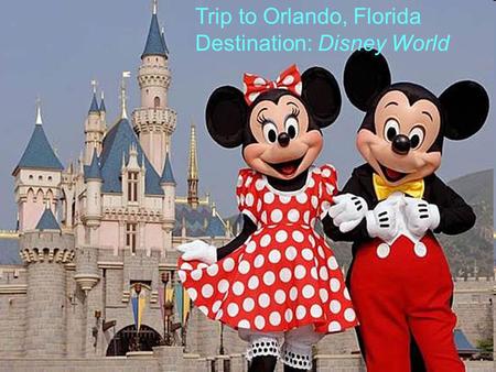Trip to Orlando, Florida Destination: Disney World.
