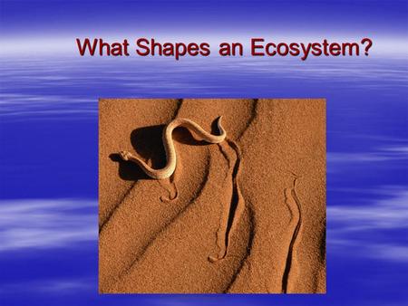 Copyright Pearson Prentice Hall What Shapes an Ecosystem? What Shapes an Ecosystem?