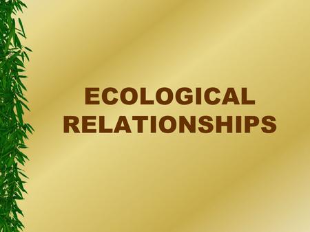 ECOLOGICAL RELATIONSHIPS. Ecology l The study of relationships between organisms and their environment.