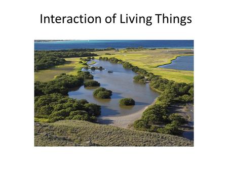 Interaction of Living Things. The Web of Life Ecology: interactions of org w/ ea other & their environment Biotic: All the living organisms in that environment.