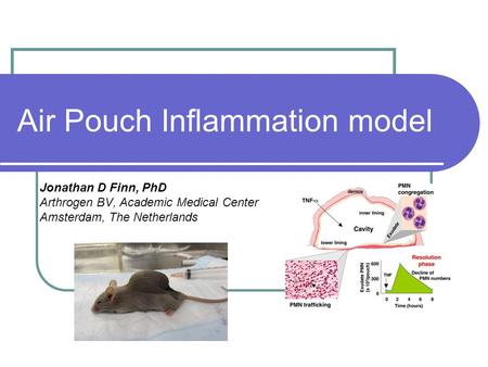 Air Pouch Inflammation model