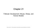 Chapter 21 © 2015, Elsevier, Inc., Plant and Zeleznik, Knobil and Neill's Physiology of Reproduction, Fourth Edition Follicular Development: Mouse, Sheep,