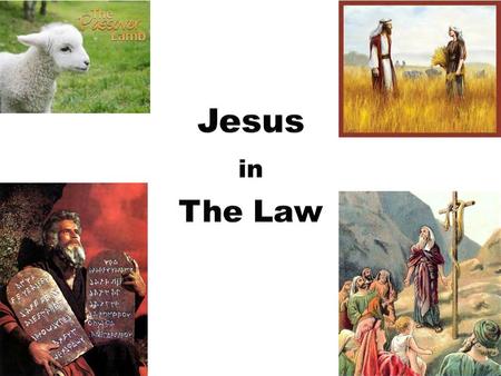 Jesus in the Law Exodus 12 Your lamb shall be without blemish, a male a year old. (5) For our sake he made him to be sin who knew no sin, so that in.