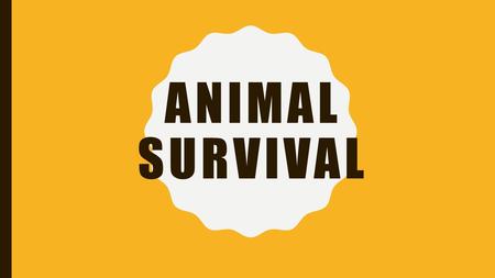 ANIMAL SURVIVAL. OVERVIEW In this unit we will learn about the different roles animals have in ecosystems, what animals need to survive, and the relationships.
