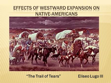 Eliseo Lugo III“The Trail of Tears”.  The United States government made many treaties with the Native Americans not to fight and not to touch certain.