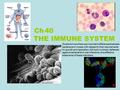 THE IMMUNE SYSTEM Ch 40 Students know there are important differences between bacteria and viruses with respect to their requirements for growth and replication,