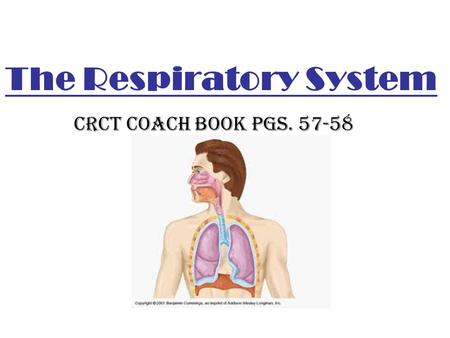 The Respiratory System CRCT Coach Book pgs. 57-58.