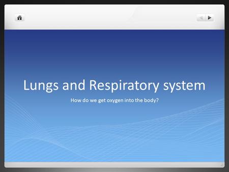 Lungs and Respiratory system How do we get oxygen into the body?